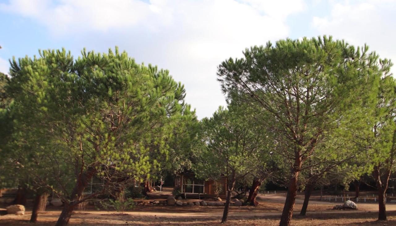PETRA LEGNA - Résidence les jardins du golfe Porto Vecchio Exterior foto
