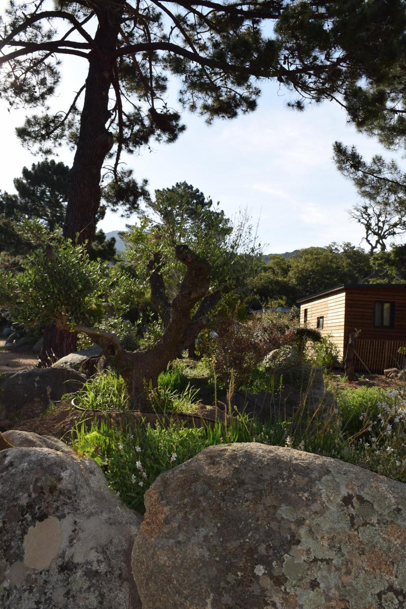PETRA LEGNA - Résidence les jardins du golfe Porto Vecchio Exterior foto