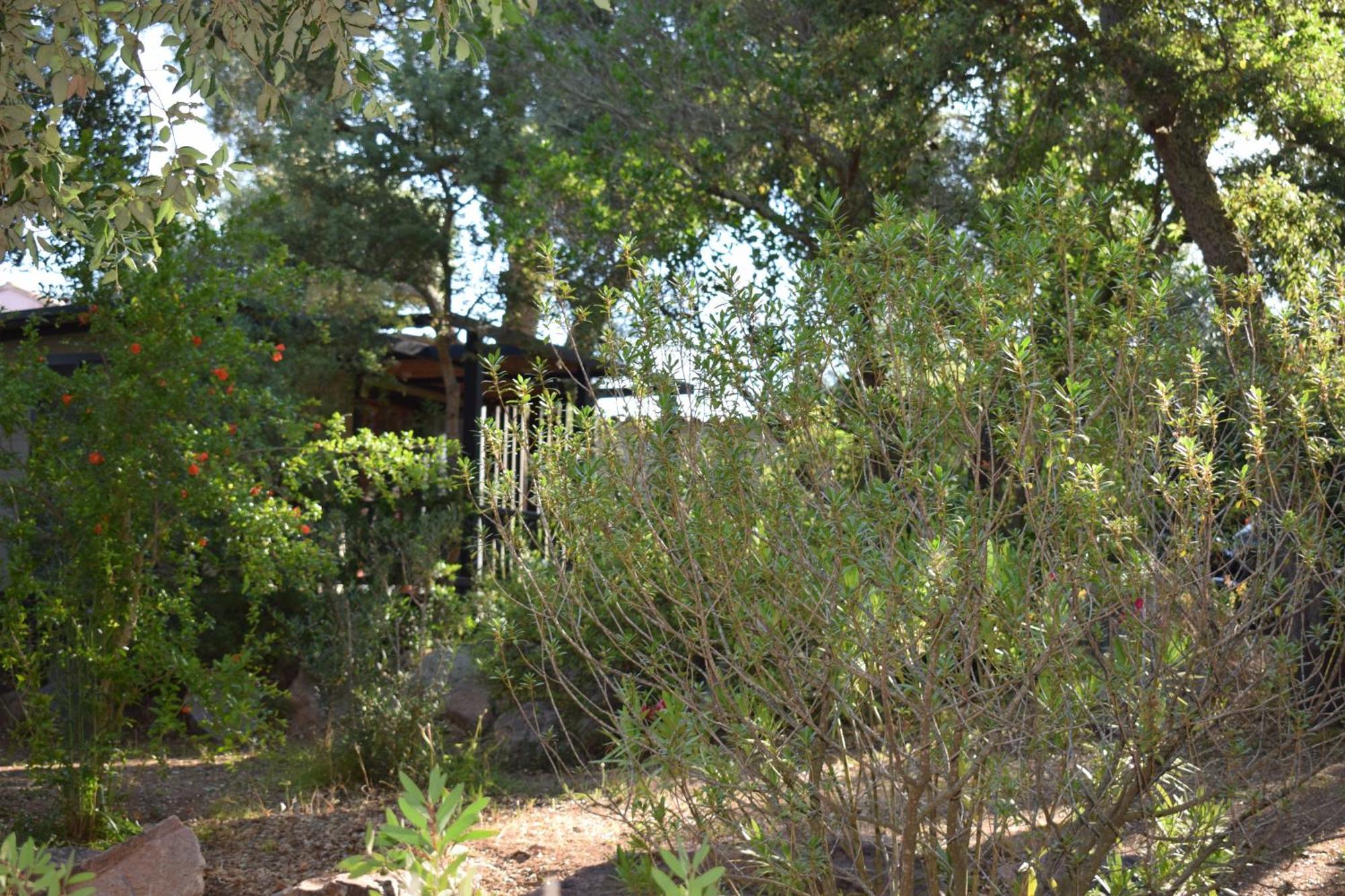 PETRA LEGNA - Résidence les jardins du golfe Porto Vecchio Exterior foto