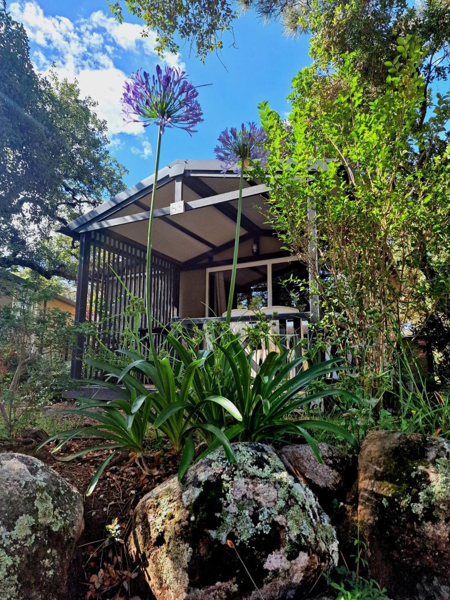 PETRA LEGNA - Résidence les jardins du golfe Porto Vecchio Exterior foto