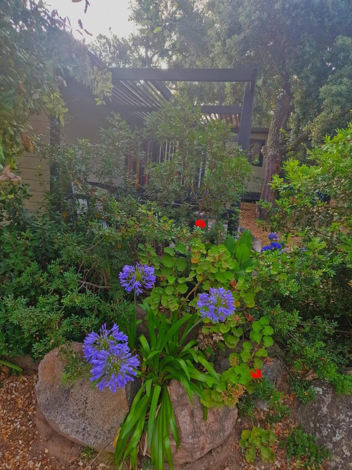 PETRA LEGNA - Résidence les jardins du golfe Porto Vecchio Exterior foto